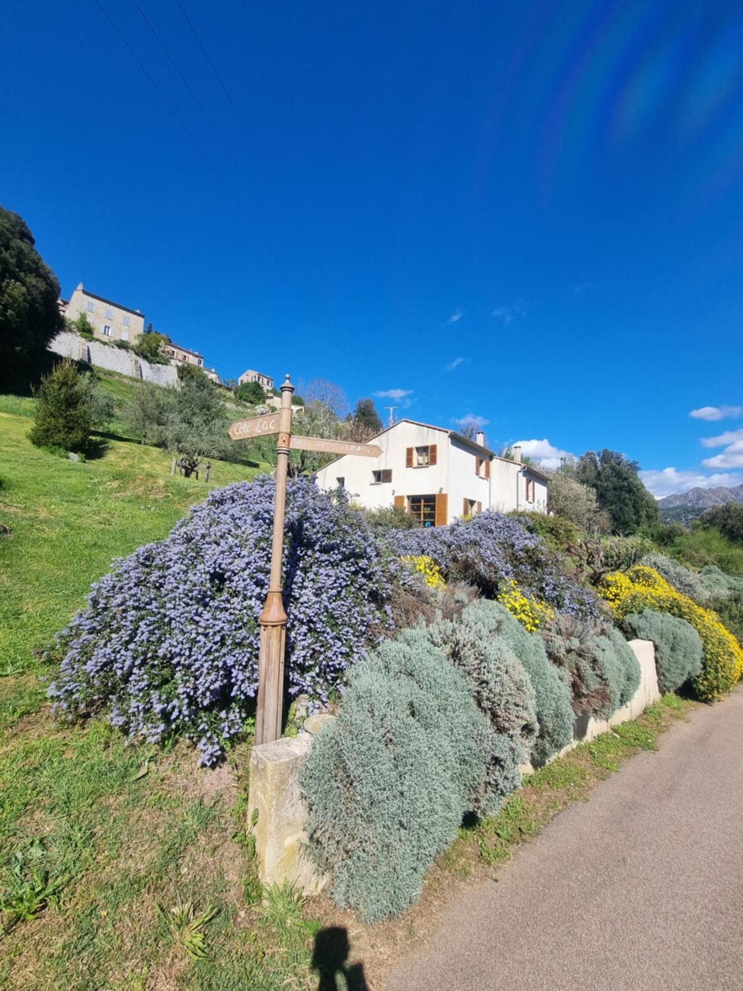 Cote Lac Tolla Exterior photo