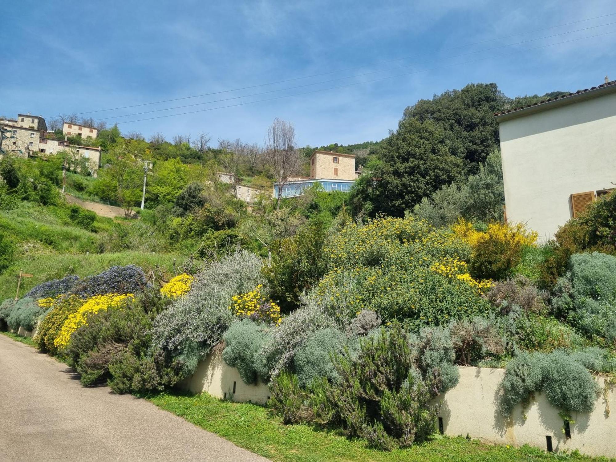 Cote Lac Tolla Exterior photo